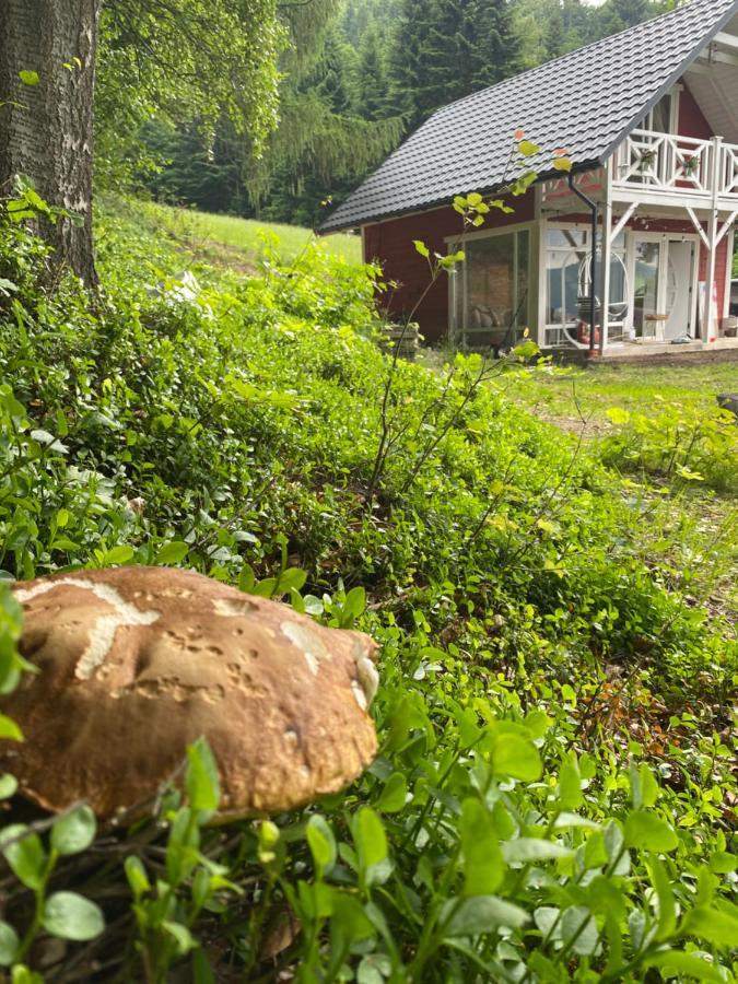 Forest House Тарганице Екстериор снимка