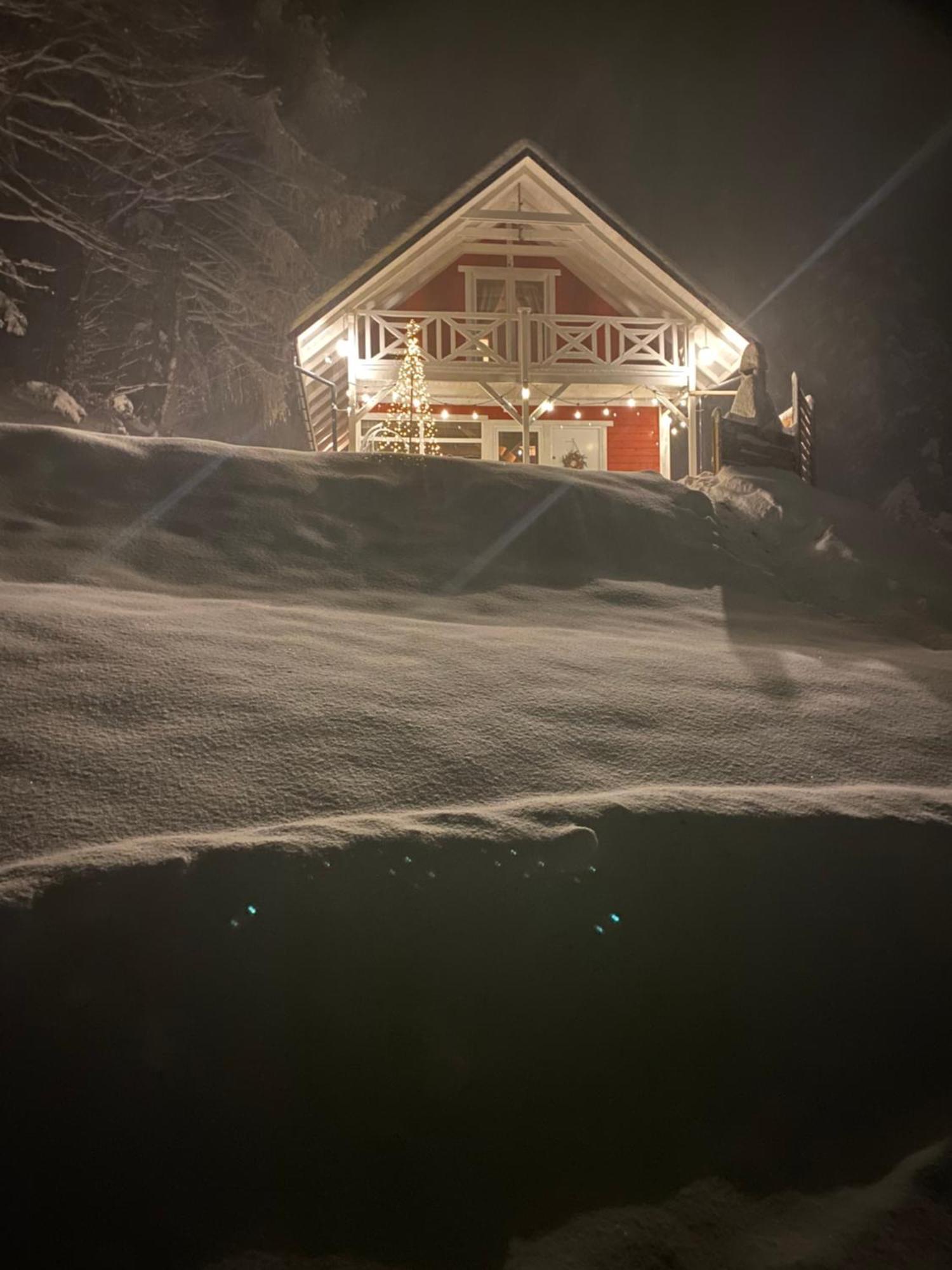 Forest House Тарганице Екстериор снимка