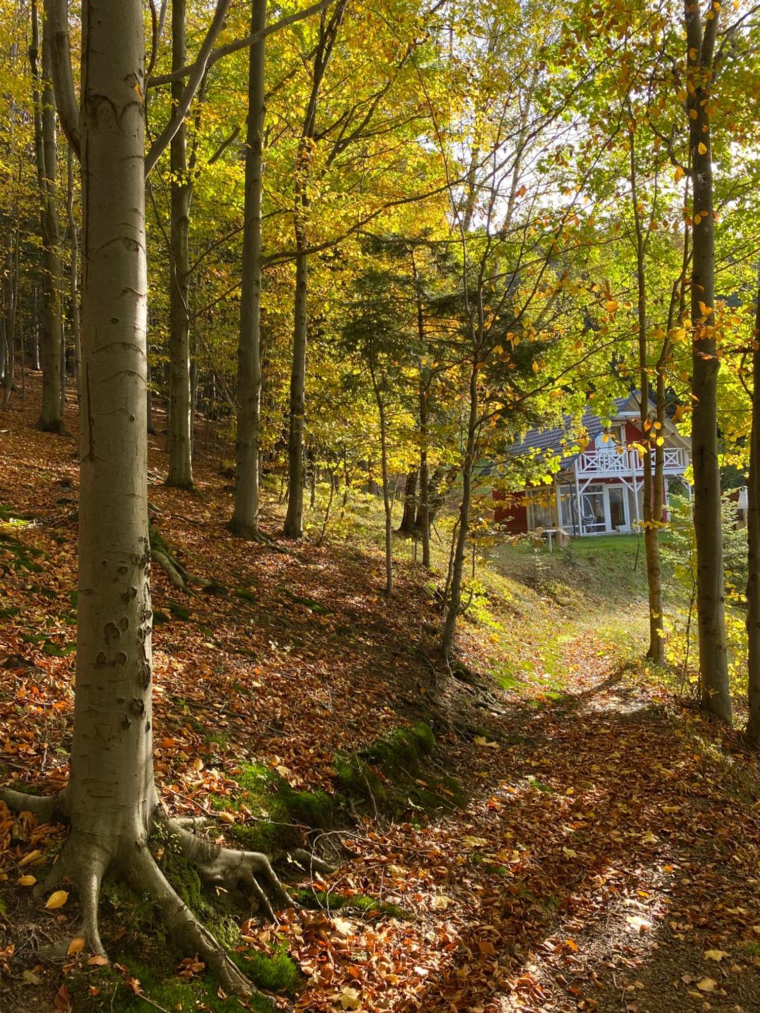 Forest House Тарганице Екстериор снимка