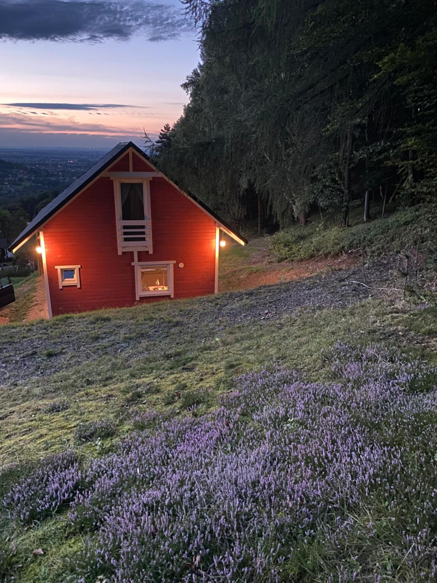 Forest House Тарганице Екстериор снимка
